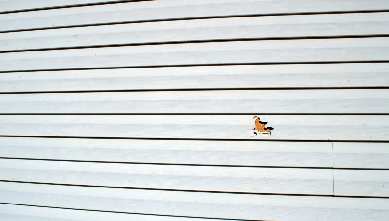 Vinyl Siding Repair - Before and After